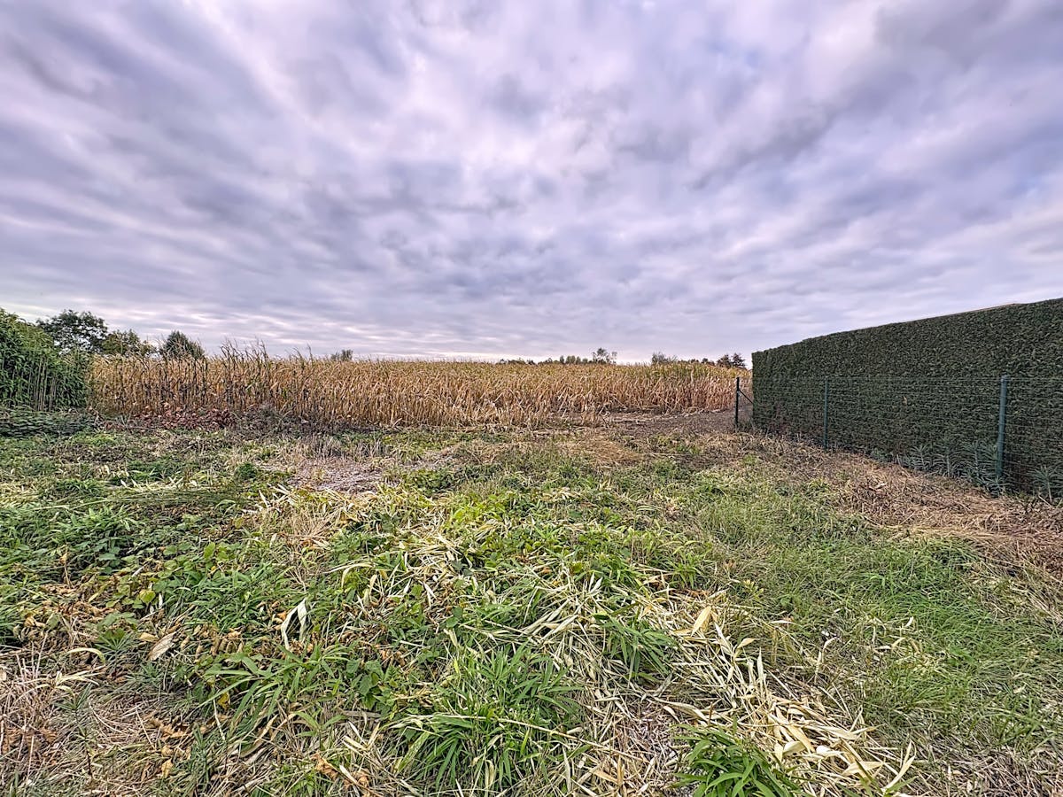 Belle parcelle pour bâtiments ouverts - photo 3