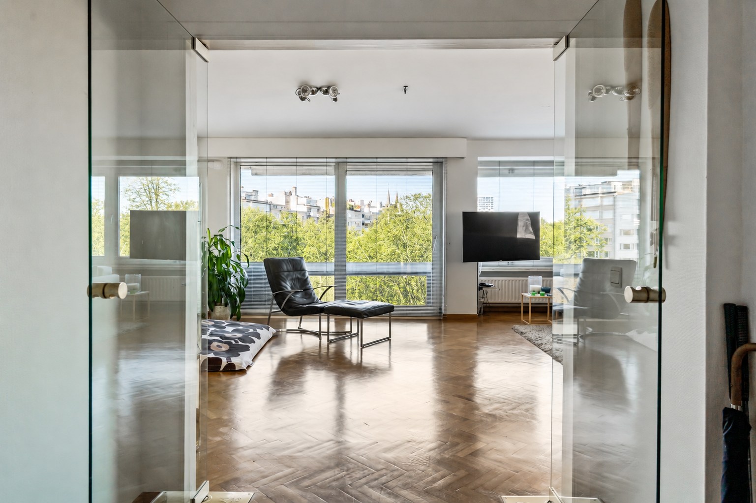 Riant appartement met prachtig zicht over het Stadspark! - foto 4