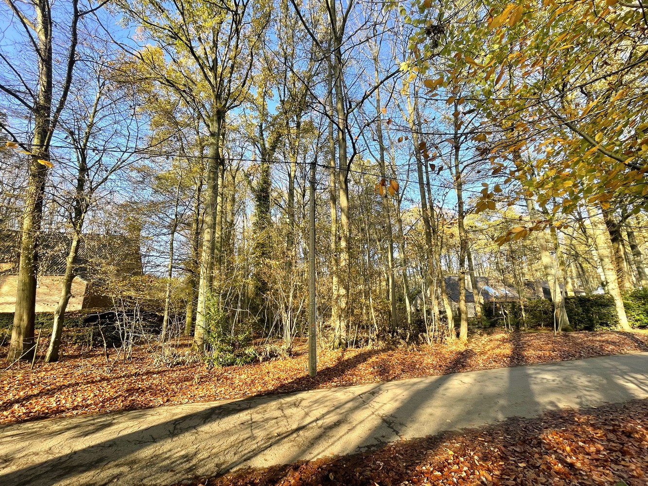 Exclusief perceel bouwgrond te Hoog-Linden - foto 3