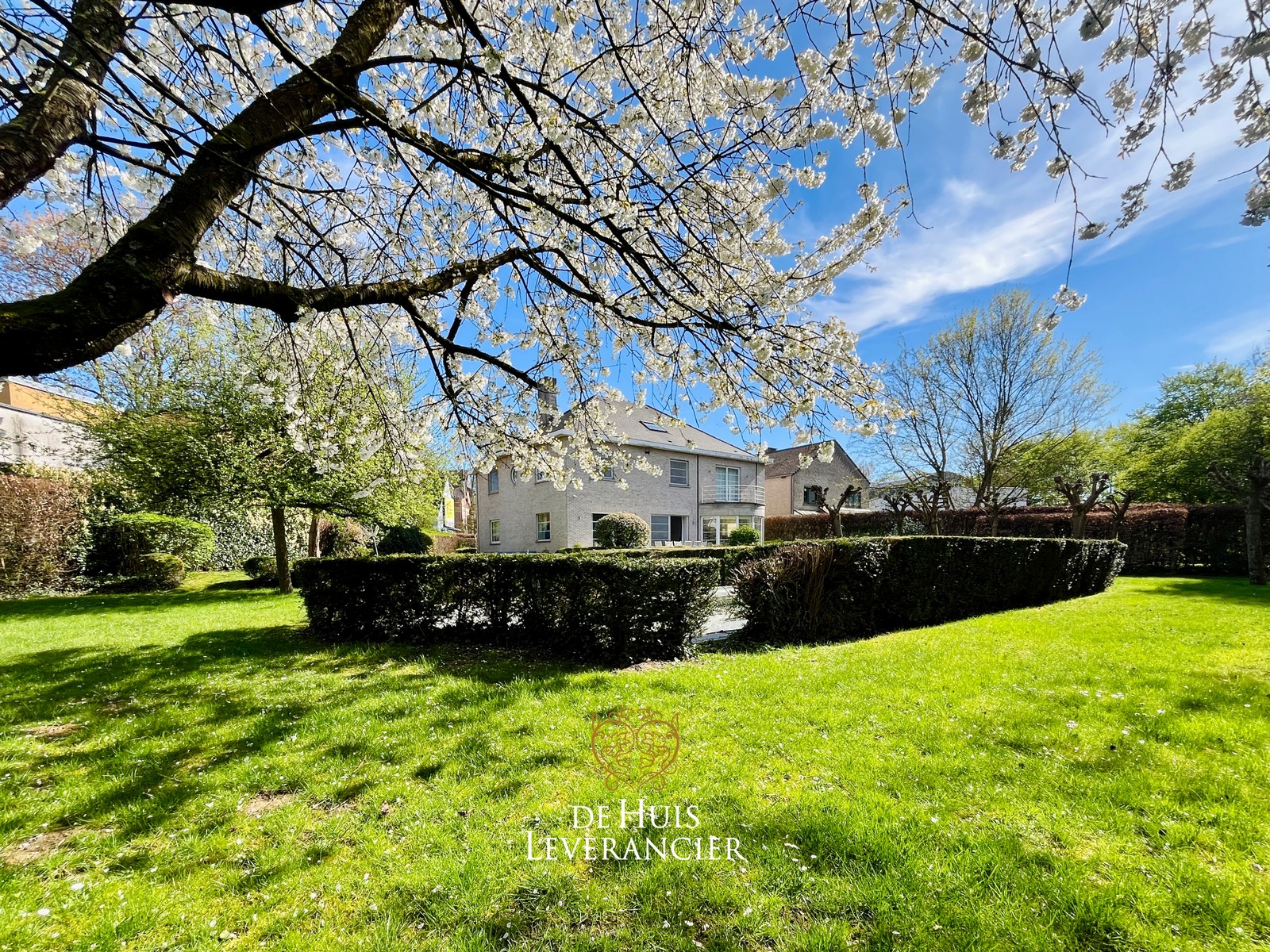 Exclusieve villa op uitzonderlijk perceel van 1 767 m², grenzend aan natuurgebied - foto 4