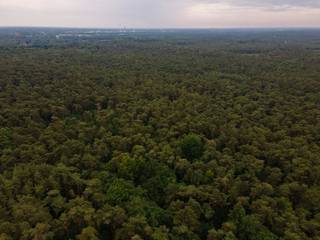 In een groene omgeving te Lichtaart (Kasterlee) bevindt zich dit bos met een oppervlakte van 1345 m². U kunt hier genieten van de pure rust, toch in de nabijheid van winkels, het openbaar vervoer, belangrijke invalswegen en Bobbejaanland. Het bos is bereikbaar met de wagen en biedt tal van mogelijkheden. Contacteer ons voor meer informatie op 0474/78 07 73. 