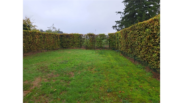 Een ruime woning met tuin nabij het centrum van Vlimmeren - foto 3