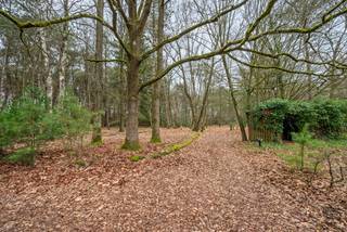 In de stad Geel, palend aan Winkelomheide ligt een domein van 12 hectare, waarvan ca 2 hectare landbouwgrond is. (landbouwgrond optioneel aan te kopen) Op dit domein staat van oudsher een bescheiden, te renoveren woning met drie slaapkamers, een ruime veranda en een inpandige garage. Eveneens staat er een houten chalet met 2 slaapkamers, kelder en garage. Het beschikt over een aangelegde vijver voor zomerse zwempartijen, winters schaatsplezier. De mini-golfbaantjes en het tennisterrein liggen er wat onderkomen bij maar zouden een meerwaarde kunnen zijn. Dit domein biedt privacy, en genieten in de natuur.<br /><br />Ontdek dit zeldzame en uitgestrekte domein, ideaal gelegen in het groene Geel, palend aan het pittoreske Winkelomheide. Met een indrukwekkend perceel van circa 12 hectare (waarvan ca. 2 hectare landbouwgrond), biedt dit eigendom een ongeëvenaarde mate van privacy en een directe verbinding met de natuur. Dit is de ultieme kans voor wie droomt van een exclusief landgoed om te renoveren, te herbestemmen tot een recreatieve oase, of simpelweg te ontsnappen aan de drukte van alledag.<br />De Troeven van het Domein<br />Twee Woongelegenheden met Potentieel:<br />•Hoofdwoning: Een bescheiden, van oudsher aanwezige woning met drie slaapkamers, een ruime veranda en een inpandige garage. Deze woning wacht op een liefdevolle renovatie om te transformeren tot een moderne gezinswoning (houd er rekening mee dat de Vlaamse renovatieverplichting van toepassing kan zijn).<br />•Houten Chalet: Een charmant tweede verblijf met twee slaapkamers, een kelder en een garage, perfect voor gasten, verhuur (mits de bestemming dit toelaat) of als rustige thuiswerkplek.<br />Natuur en Recreatie:<br />•Aangelegde Vijver: Een prachtige waterpartij die uitnodigt tot zomerse zwempartijen, en winters schaatsplezier.<br />•Uitgestrekt Groen: Geniet van de rust en de ruimte die 12 hectare eigen grond u biedt. Een paradijs voor natuurliefhebbers, paardenhouders of rustzoekers.<br />•Recreatieve Faciliteiten: Hoewel het minigolfterrein en de tennisbaan momenteel onderkomen zijn, bieden ze een enorme meerwaarde voor wie het domein nieuw leven wil inblazen met sport- en ontspanningsmogelijkheden.<br />Een Locatie die Inspireert<br />Gelegen in een bosrijke omgeving, garandeert dit domein een idyllische leefomgeving, weg van nieuwsgierige blikken, maar toch dichtbij de nodige voorzieningen.<br />Dit uitzonderlijke vastgoed Is Ideaal voor:<br />•Liefhebbers van ruimte en de natuur.<br />•Kopers die dromen van een privédomein met ontspanningsmogelijkheden.<br />•Professionelen die wonen en werken in een groene omgeving willen combineren.<br />Mis deze unieke kans niet om eigenaar te worden van een exclusief perceel in de regio Geel.<br />Neem contact op voor een bezichtiging en laat u betoveren door de mogelijkheden die dit domein te bieden heeft.<br />OPGELET: de aangekondigde verkoopprijs omvat het bosgebied inclusief de woning en chalet. De landbouwgrond is optioneel aan te kopen.