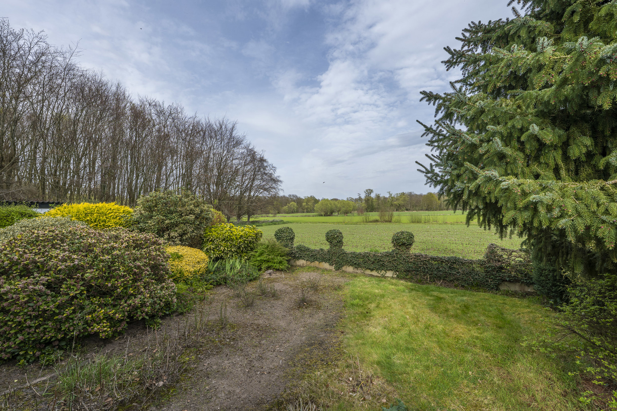 Topligging tussen velden: gelijkvloers wonen met knappe tuin - foto 5