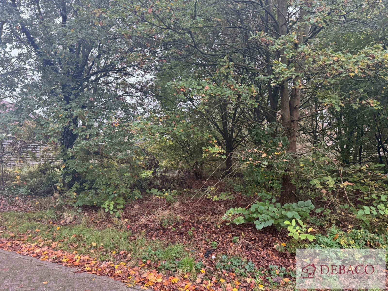 Terrain à vendre à Grobbendonk - photo 4