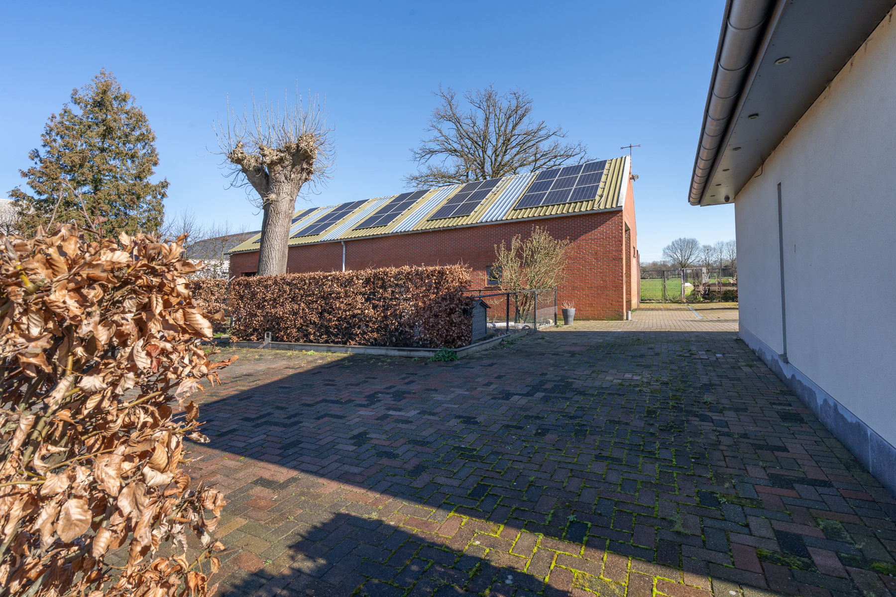 Maison à vendre à Essen avec 4 chambres - photo 2