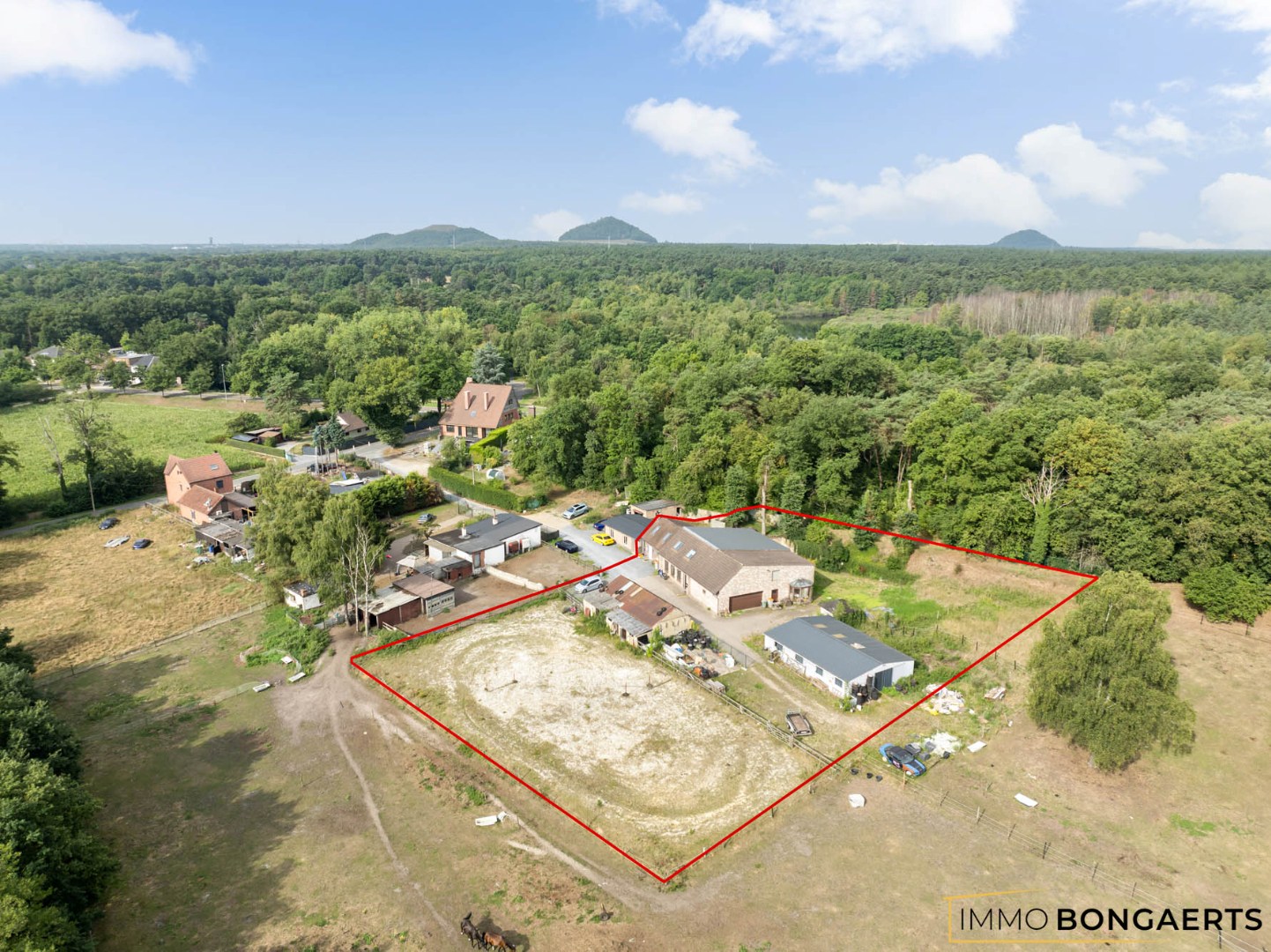 Rustig gelegen te renoveren woning op een uitzonderlijk perceel - foto 1