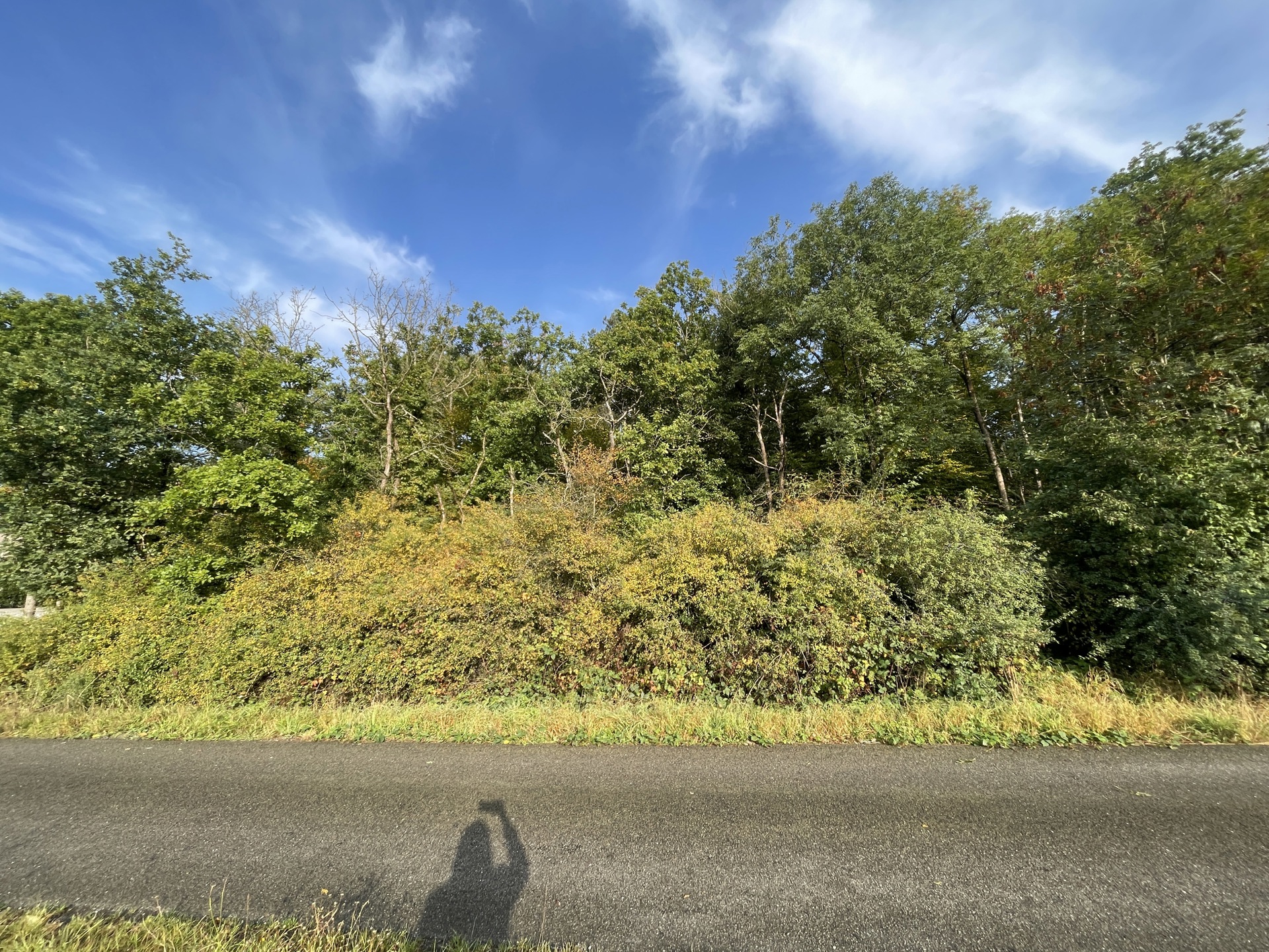 Grond te koop in Ciney - foto 2