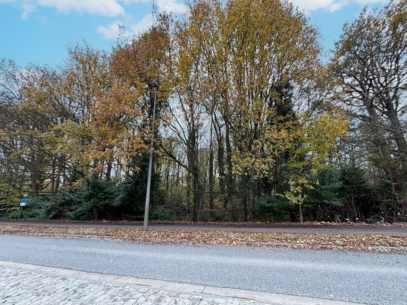 Gronden te koop in Boechout (parkgebied) - foto 3