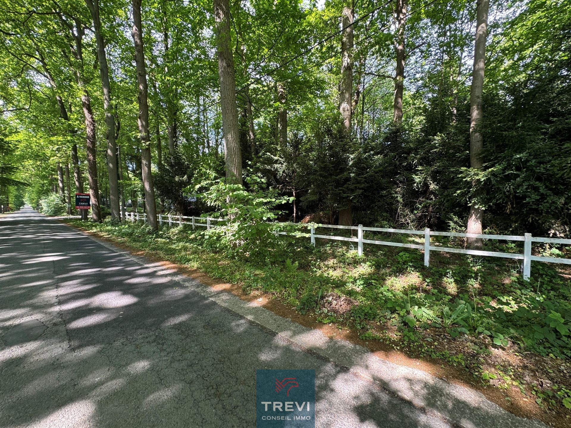 Bois du Strihoux. Formidable terrain à bâtir - photo 4