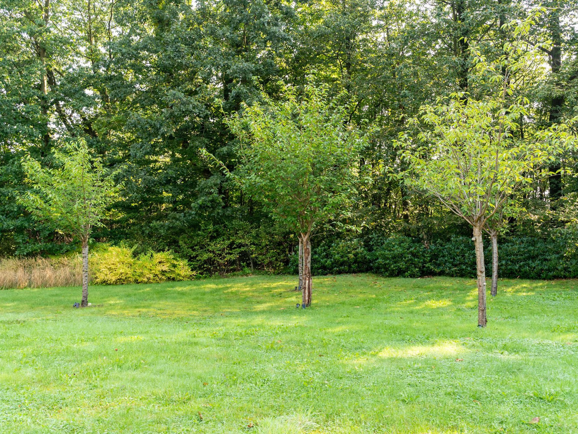 Waals-Brabant I Waver - foto 3