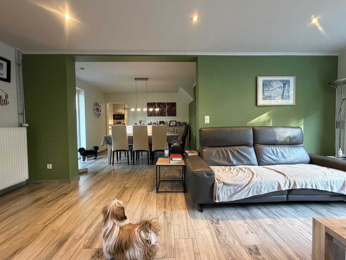 Gerenoveerde woning met 3 slaapkamers aan de oever van de Zuid-Willemsvaart - foto 4