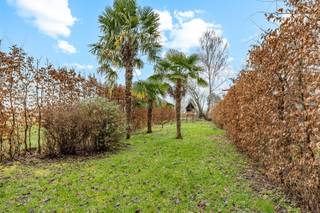  Op zoek naar een charmante, rustig gelegen woning in Hillegem (Herzele)? Gevonden! Deze, in 2009, gerenoveerde woning ziet er als volgt uit:Inkomhal...