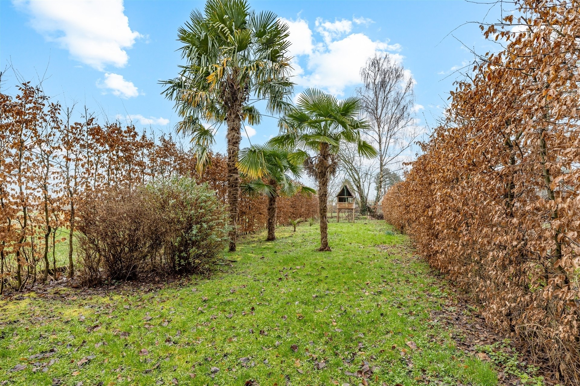 Gezellige woning met 3 slpks op een perceel van 7a 4ca - foto 3