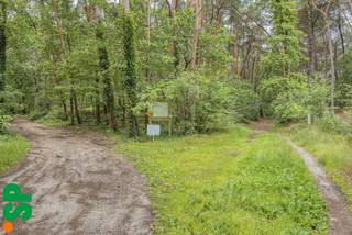 Bosgrond gelegen langs Kopberg te Balen op perceel van 12760 m².<br /><br />Op zoek naar een uniek stukje natuur? Langs Kopberg te Balen bevindt zich deze uitgestrekte bosgrond met een oppervlakte van maar liefst 12.760 m².<br /><br />Dit perceel biedt een prachtige groene omgeving en vormt een ideale plek voor liefhebbers van rust, natuur en buitenruimte. Geniet van de charme van een bosrijke omgeving, weg van de dagelijkse drukte.<br /><br />Een unieke kans om eigenaar te worden van een mooi stuk bos in een rustige en groene omgeving.<br /><br />Oppervlakte: ca. 12.760 m²<br />Ligging: Kopberg, Balen<br />Kadaster: 1ste AFD, Sectie E1799g<br />Bestemming: natuurgebied<br /><br />Voor meer informatie of een bezoek ter plaatse, kan u contact opnemen met IMMO SP via 014 59 10 20 of mailen naar jill@immosp.be. Benieuwd naar de waarde van uw eigen woning? Vraag vrijblijvend een gratis verkoopanalyse aan – wij helpen u graag verder!