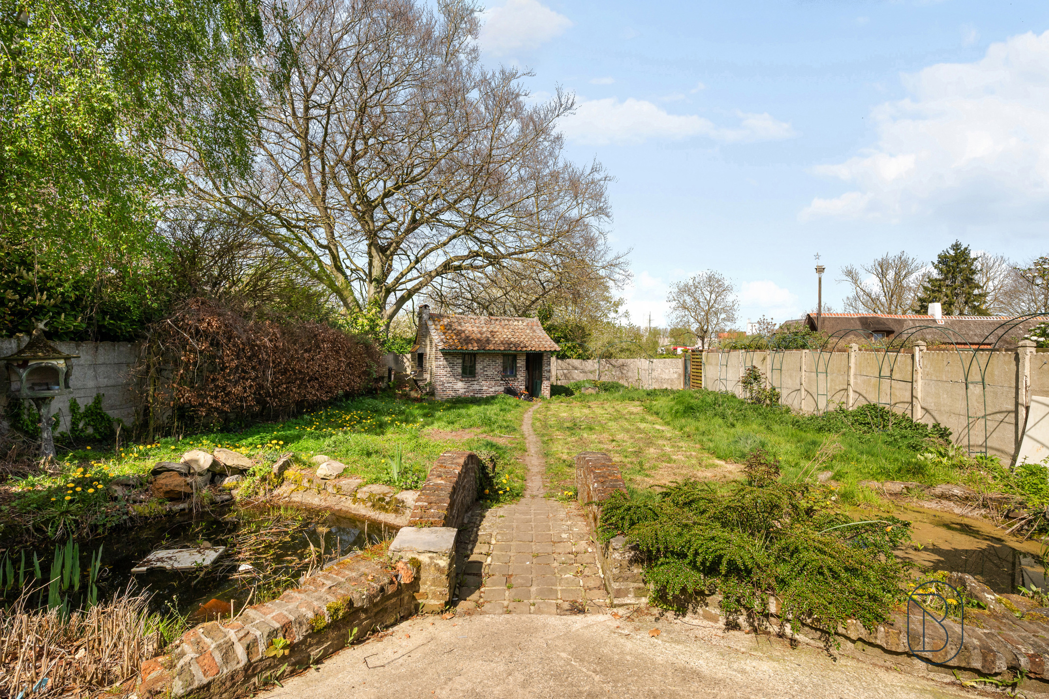 Woning met handelsruimte in centrum Berchem-Kluisbergen - foto 2