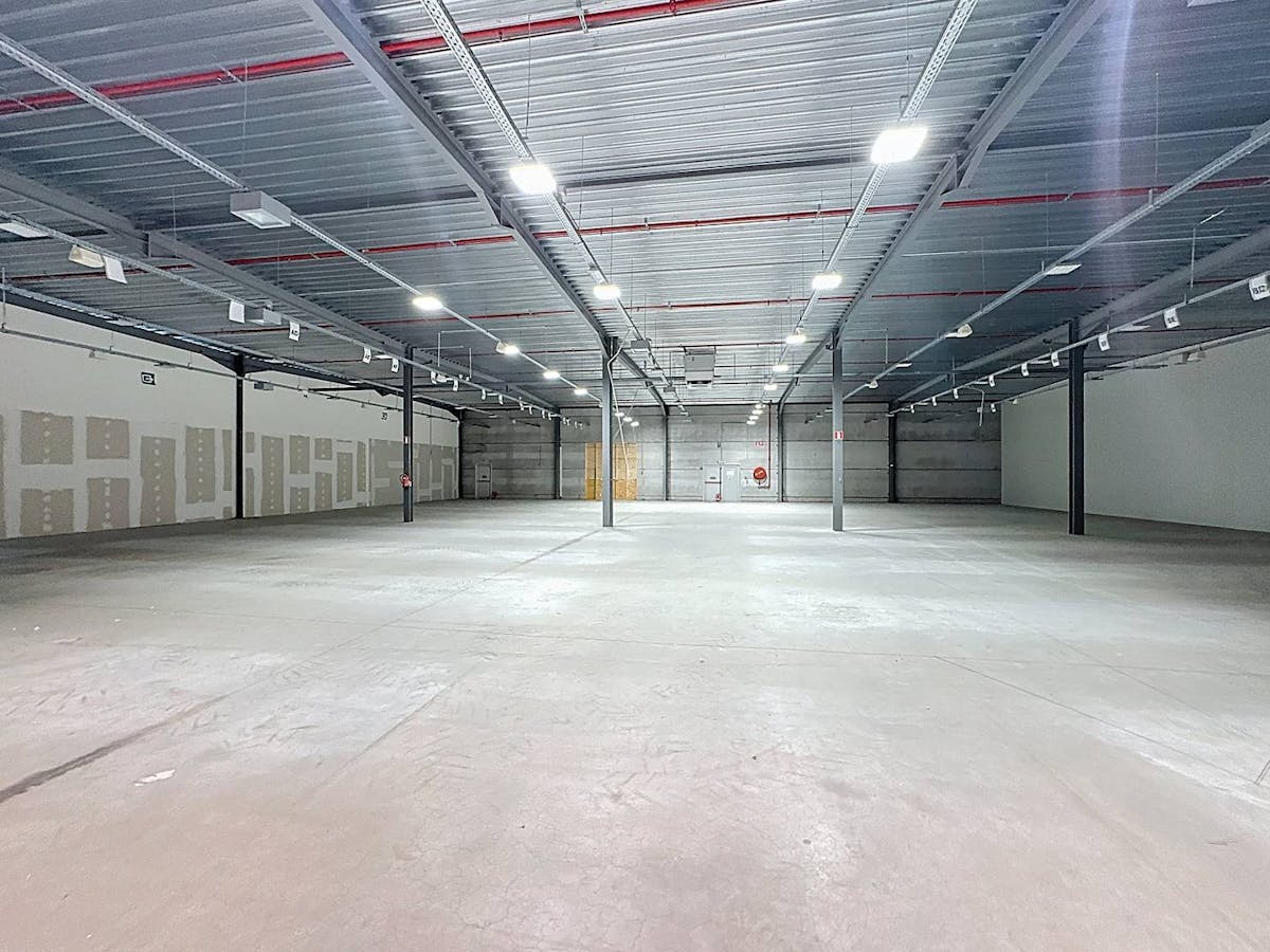 Loods te huur - toplocatie Oostende (ca. 1200 m²) - foto 3