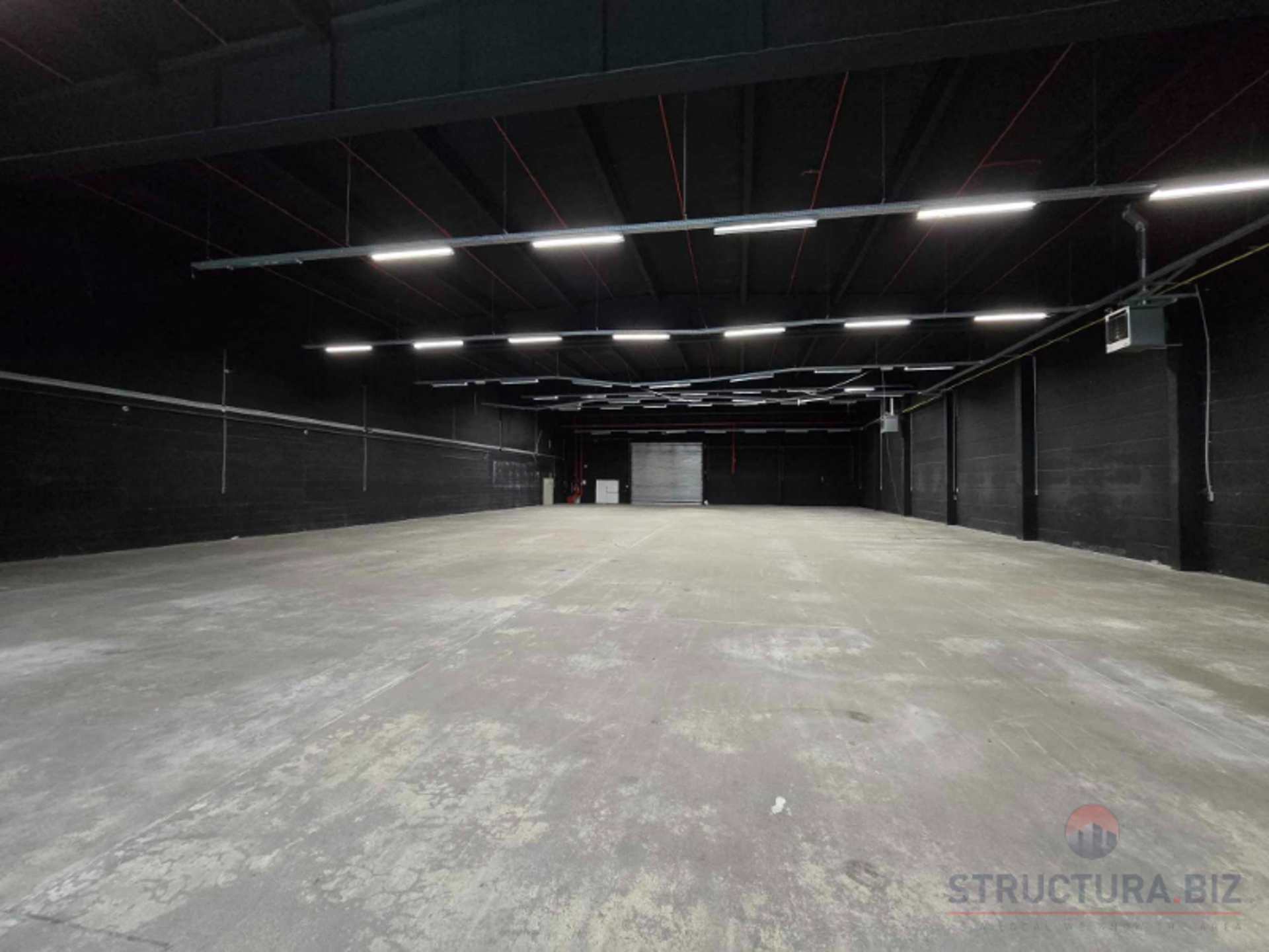 Commercial for rent in Schelle - photo 4