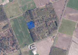 <p>Langs de Hoge Miertse Heide in Oud-Turnhout richting Ravels bevindt zich dit mooi, rechthoekig bosperceel met een oppervlakte van ca. 6.340 m² (80 meter breedte op 76 diepte) . Het perceel is begroeid met een gevarieerde bosbeplanting en volwassen bomen en biedt een unieke combinatie van natuur, rust en privacy.  Vroeger stond hier een heuse en volledig ingerichte chalet, maar die is ondertussen weggehaald.</p><p>Een belangrijke troef is de uitstekende bereikbaarheid. Langs het perceel werd een betonnen weg aangelegd, waardoor het perceel het hele jaar door vlot toegankelijk is. Langs de rechterkant loopt ook nog eens een servitudeweg zodat je deze ook langs daar gemakkelijk kan bereiken. De ligging te midden van uitgestrekte velden en natuur zorgt voor een aangename, groene omgeving met een open karakter. Toch is de bewoning dichtbij, alleen is er net geen zicht op.</p><p>Het perceel is kadastraal gekend als bosgrond en maakt deel uit van een omgeving met een hoge natuurwaarde. Bovendien bevindt het zich niet in overstromingsgevoelig gebied en beschikt het over een gunstige P-score A.</p><p>Gvg – Gvv – Gmo <br />Dit betreft geen aanbod. Alle informatie werd te goeder trouw verstrekt en is steeds onder voorbehoud van materiële vergissingen en/of wijzigingen. De vermelde oppervlaktes zijn louter indicatief en niet bindend.</p>
