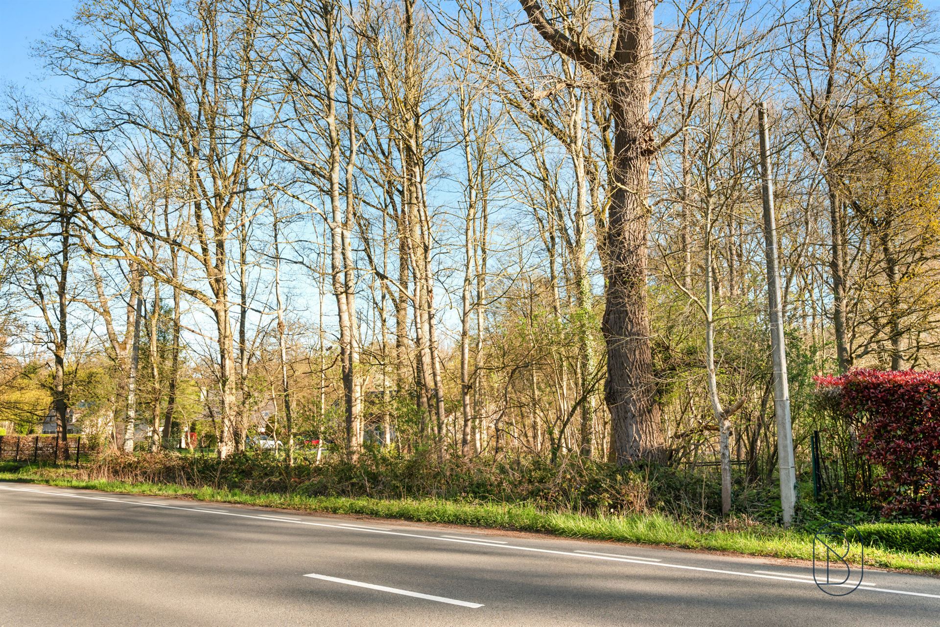 Mooie bouwgrond voor villa - foto 4