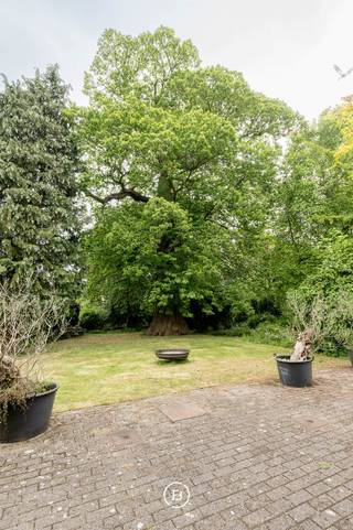 In het hart van Sint-Kornelis-Horebeke, verscholen achter het dorpsplein, ligt dit uitzonderlijk herendomein met bijgebouw op een volledig omwald terrein van meer dan 6.000 m². De voormalige herenhoeve, gebouwd in de eerste helft van de 18de eeuw, is erkend als beschermd erfgoed en straalt een zeldzame historische grandeur uit. Met zijn statige gevelstructuur in vijf traveeën, hoge plafonds, monumentale schouwen en decoratieve schilderingen op doek, ademt deze eigendom authenticiteit en karakter.<br /><br />Bij binnenkomst valt meteen de royale inkomhal op, afgewerkt met marmeren vloeren en geflankeerd door twee elegante salons, elk met een eigen sfeer en historische aankleding. Aansluitend vinden we een ruime woonkamer, een aparte eetkamer en een keuken die uitkijkt op het groene parkdomein. Deze gelijkvloerse ruimtes bieden naast comfort ook talloze mogelijkheden voor wie werk en privé wil combineren of op zoek is naar een veelzijdige invulling. Op de eerste verdieping is er ruimte voor het inrichten van meerdere royale slaapkamers en badkamers. De tussenverdieping en de zolderverdieping bieden bijkomend potentieel voor uitbreiding of creatieve herbestemming.<br /><br />Een troef van deze eigendom is de volledig gerenoveerde bijwoning, die discreet achter het hoofdgebouw ligt. Deze beschikt over een eigen leefruimte, keuken, badkamer en slaapkamer, en wordt momenteel verhuurd. Deze bijkomende woonunit is ideaal als opbrengsteigendom, gastenverblijf of praktijkruimte. Daarnaast is er nog extra uitbreidingspotentieel.<br /><br />Wat dit pand werkelijk uniek maakt, is het perceel zelf: een omwalde tuin van meer dan 6.000 m² die rust, privacy en natuurbeleving garandeert. Het parkdomein vormt een zeldzame groene oase in het centrum van het dorp en versterkt de totaalervaring van het wonen in erfgoed.<br /><br />Deze eigendom is uitermate geschikt voor wie op zoek is naar een ruim familiehuis met ziel, een karaktervol landgoed, combinatie van wonen en professioneel gebruik of een creatieve invulling.<br /><br />Een unieke kans om een stukje Vlaamse geschiedenis nieuw leven in te blazen, op een plek waar tijd lijkt stil te staan, maar mogelijkheden oneindig zijn.