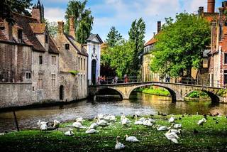 Commercial for sale in Bruges