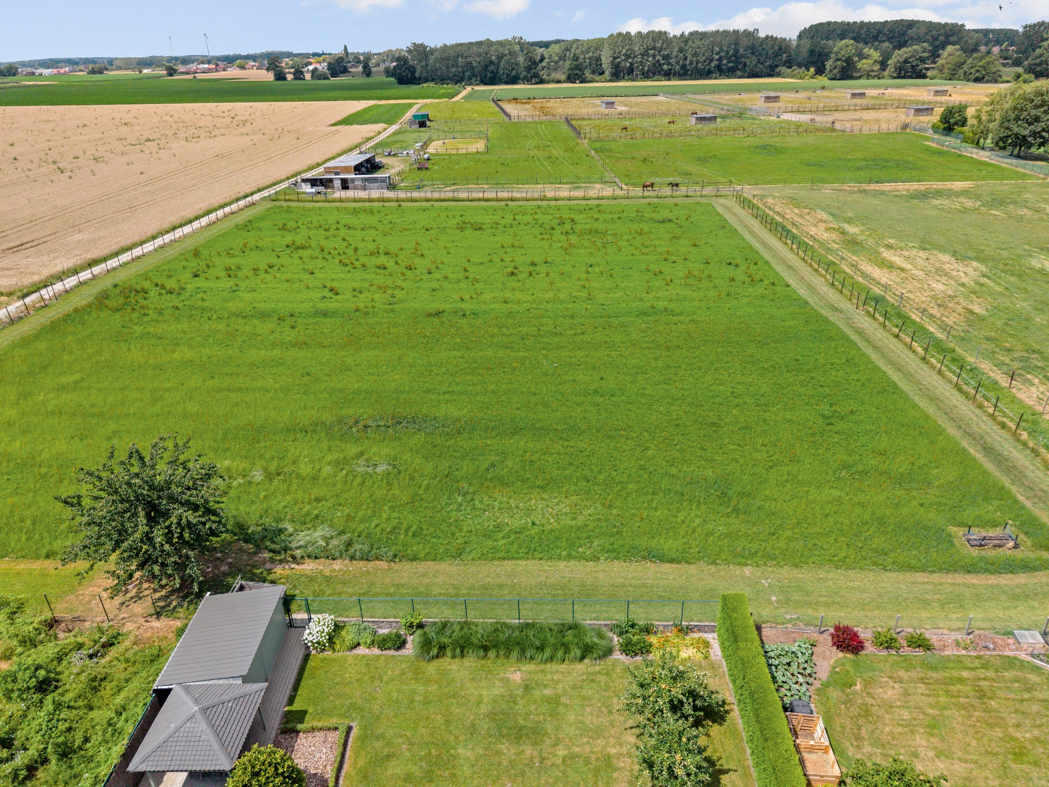Instapklare villa met 4 slaapkamers gelegen op ca. 1 hectare - foto 4
