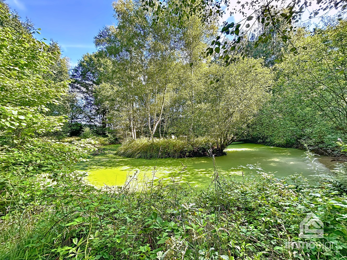 Uniek stuk grond van 9.050 m² in Grote-Brogel/Peer! - foto 1