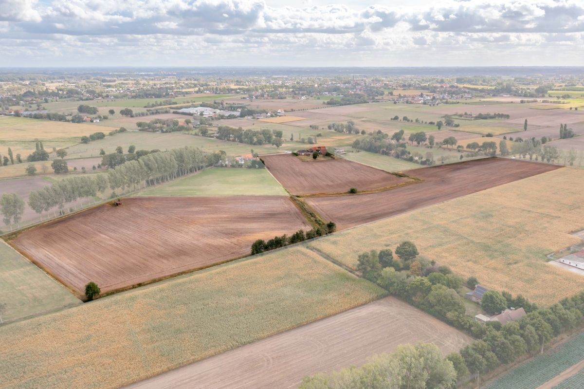 Hoeve op circa 10 ha te koop te Maldegem - photo 5