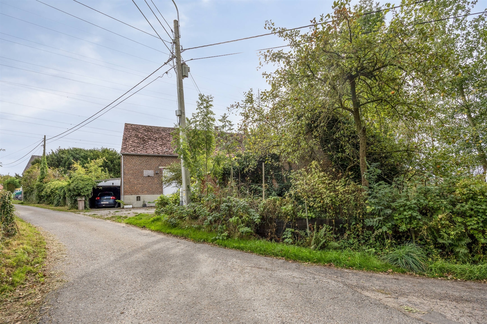 Prachtig gelegen, compleet te renoveren hoeve - foto 4