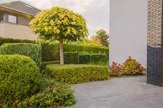 SITUATIONCette villa architecturale est située à Merelbeke, dans une impasse particulièrement calme et adaptée aux enfants. Cet emplacement combine...