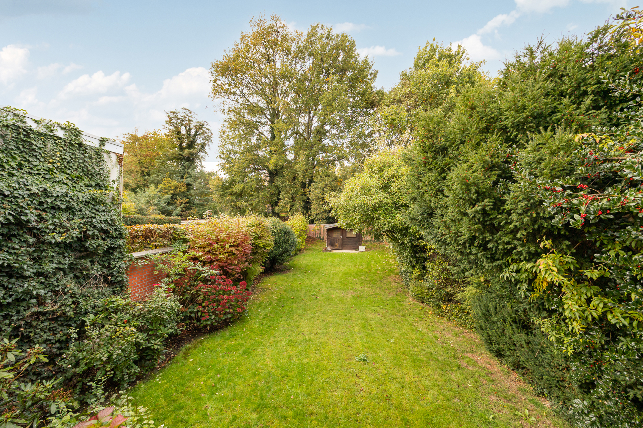 House for sale in Balen with 4 bedrooms - photo 5