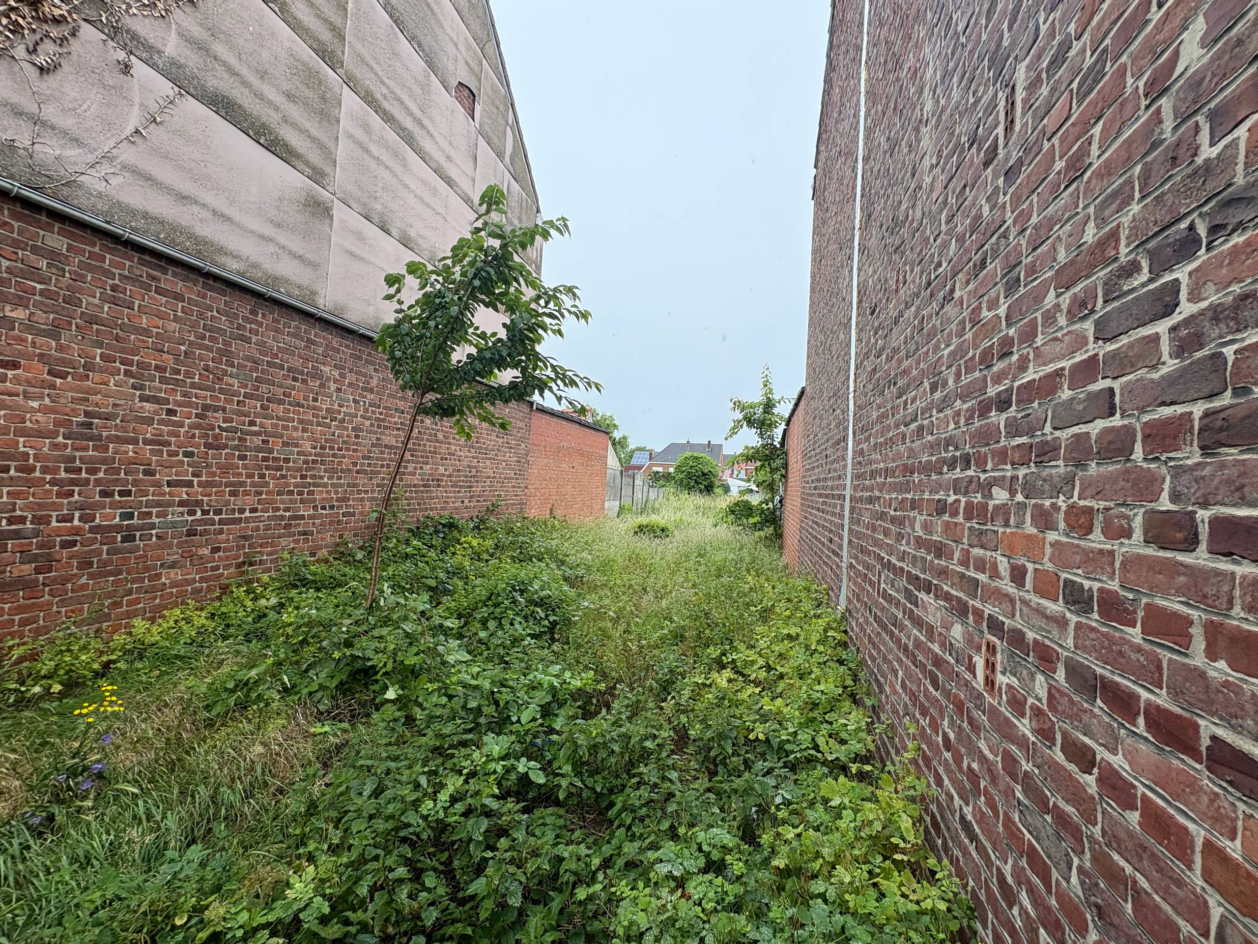 Wervik - Bouwgrond te koop - foto 4