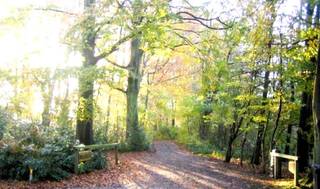 Maison à louer à Kapellen