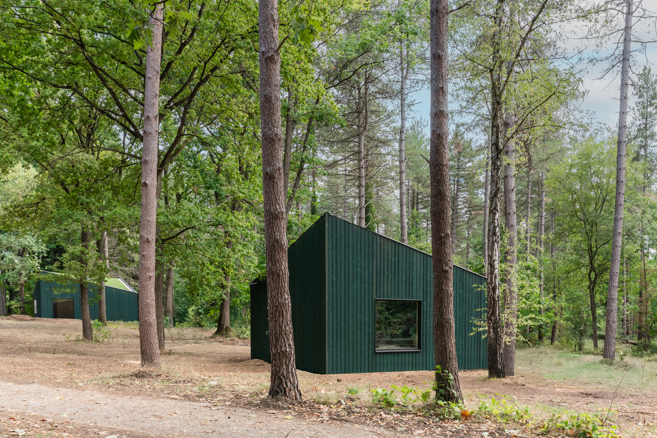 Cosy Lodge (4-persoons) - foto 5