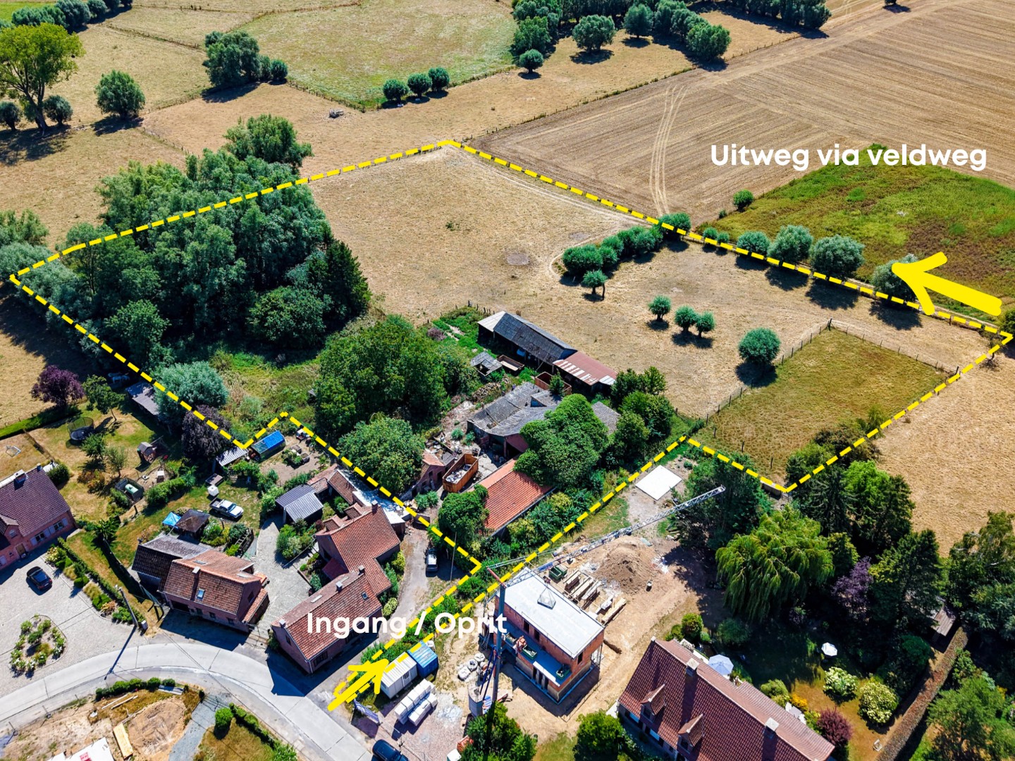 Te koop, totaal te renoveren / te slopen hoeve met uitweg achteraan op 1,5 hectare te Bever - photo 1