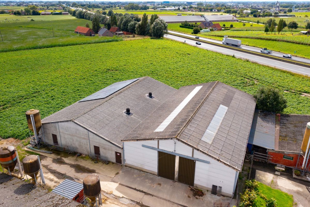Hoeve op 1 ha te koop te Ardooie - foto 4