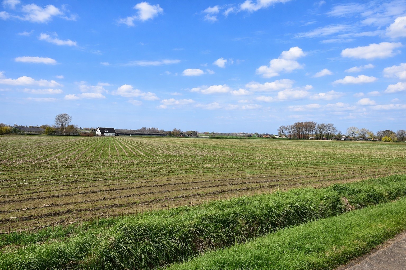 Mooi perceel bouwgrond van 550m² met landelijk zicht in Gits - foto 3