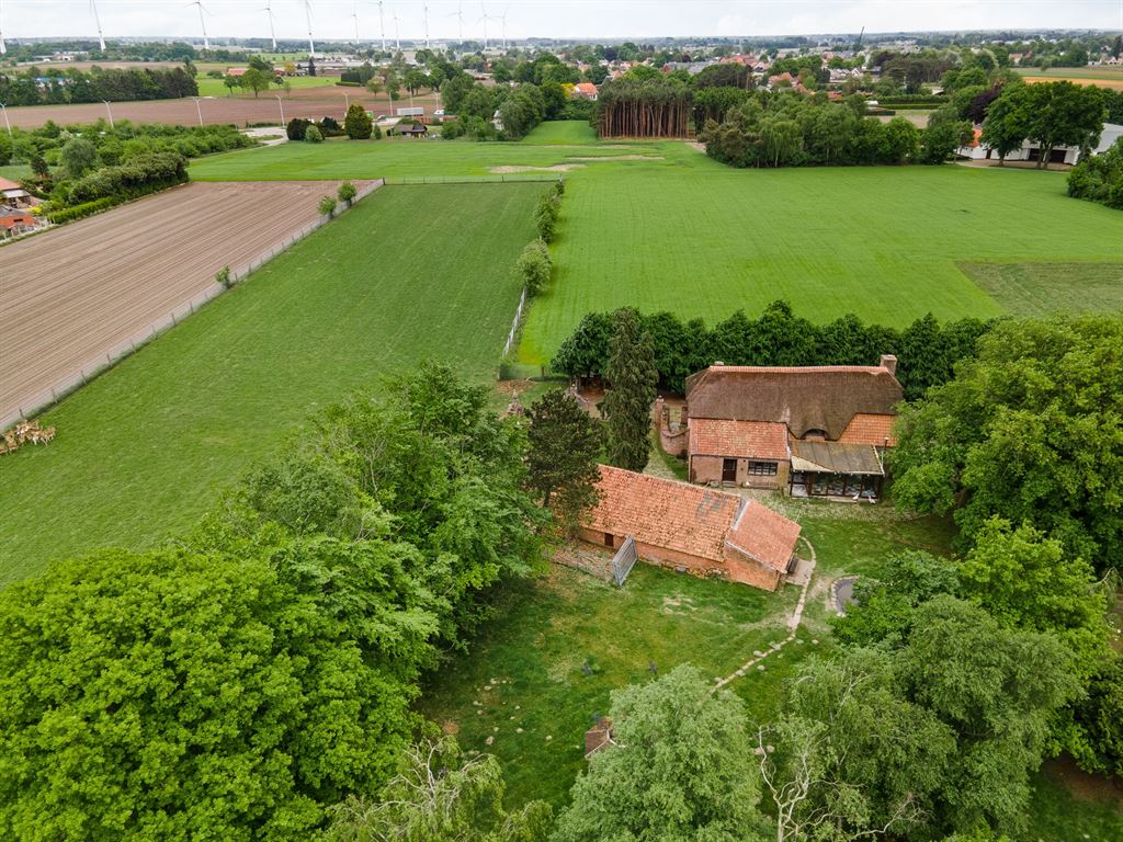 Landelijke gelegen woning met stallen op ca. 1,6ha te Retie - foto 4