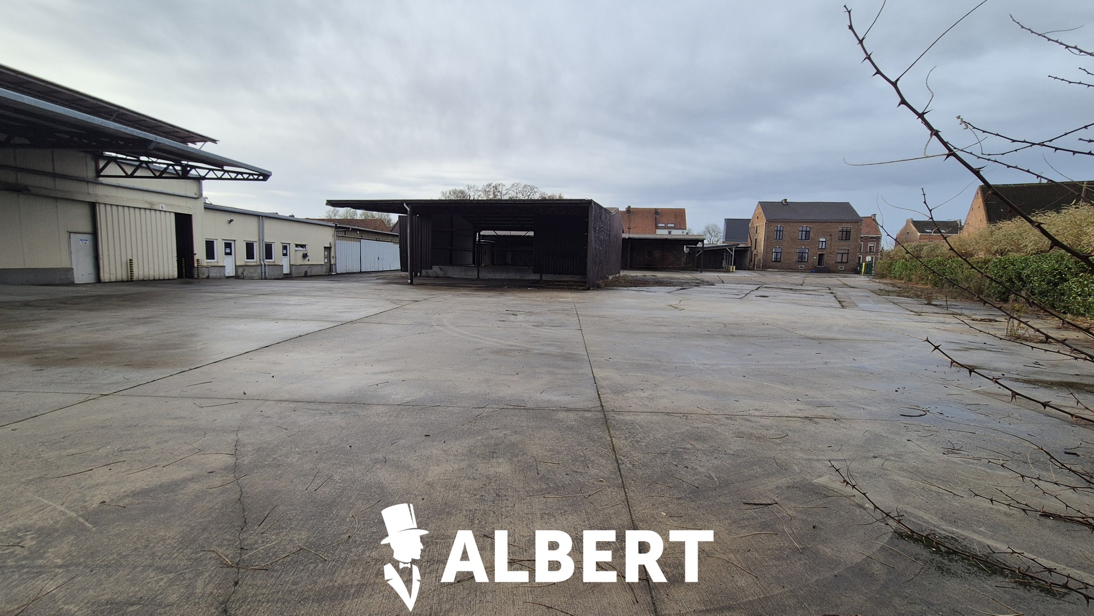 Unit 3 : gesloten loods met burelen - foto 5