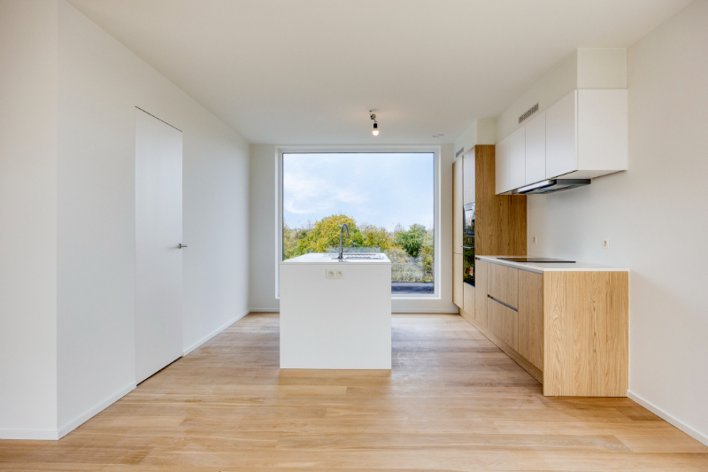 Project for sale in Denderleeuw - photo 4