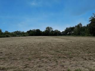 Te koop: landbouwgrond van 11.500 m² in SchriekOp zoek naar een mooie landbouwgrond op een rustige locatie? Deze ruime perceel van 11.500 m² bevindt...