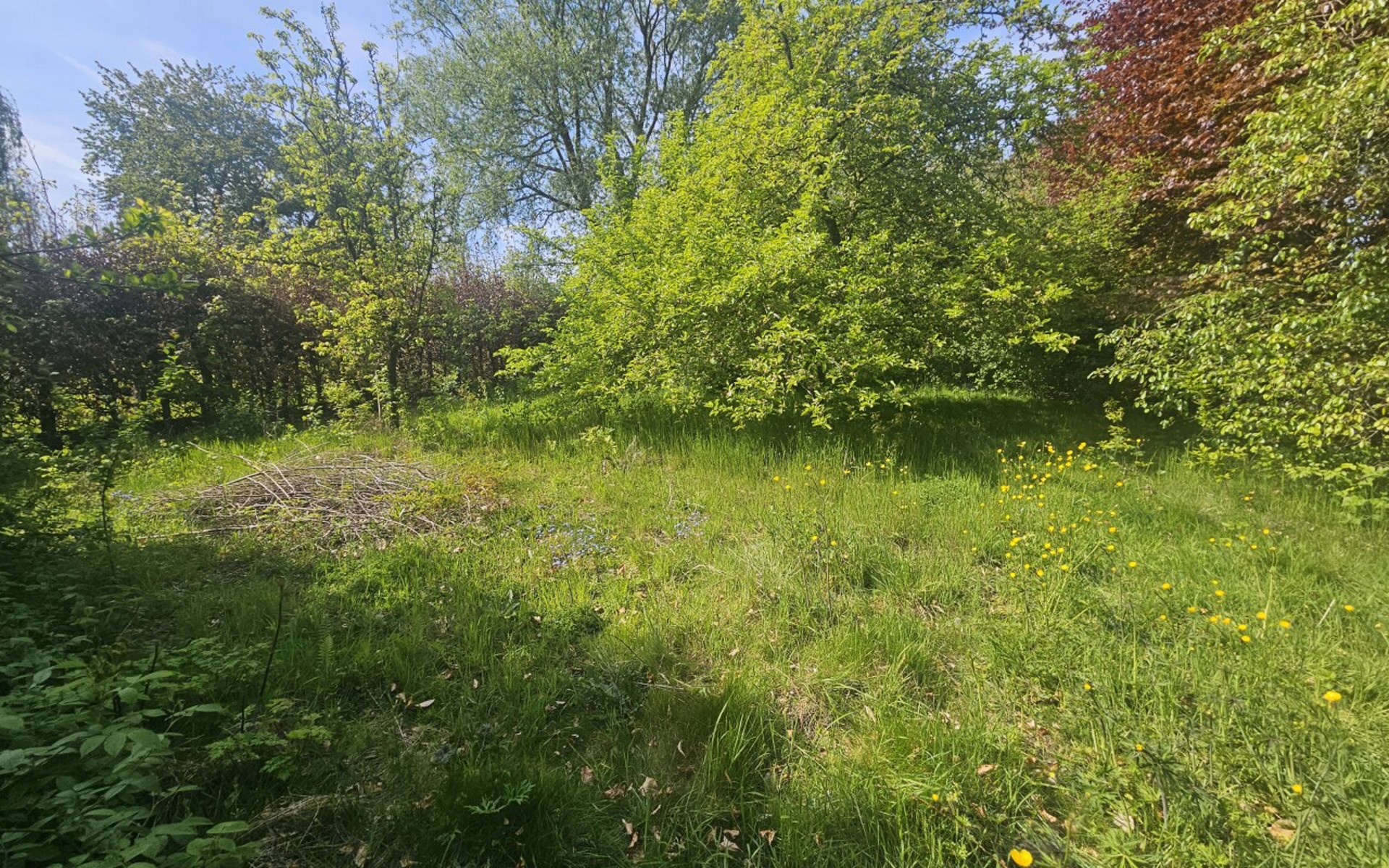 Volledig te renoveren woning - foto 4