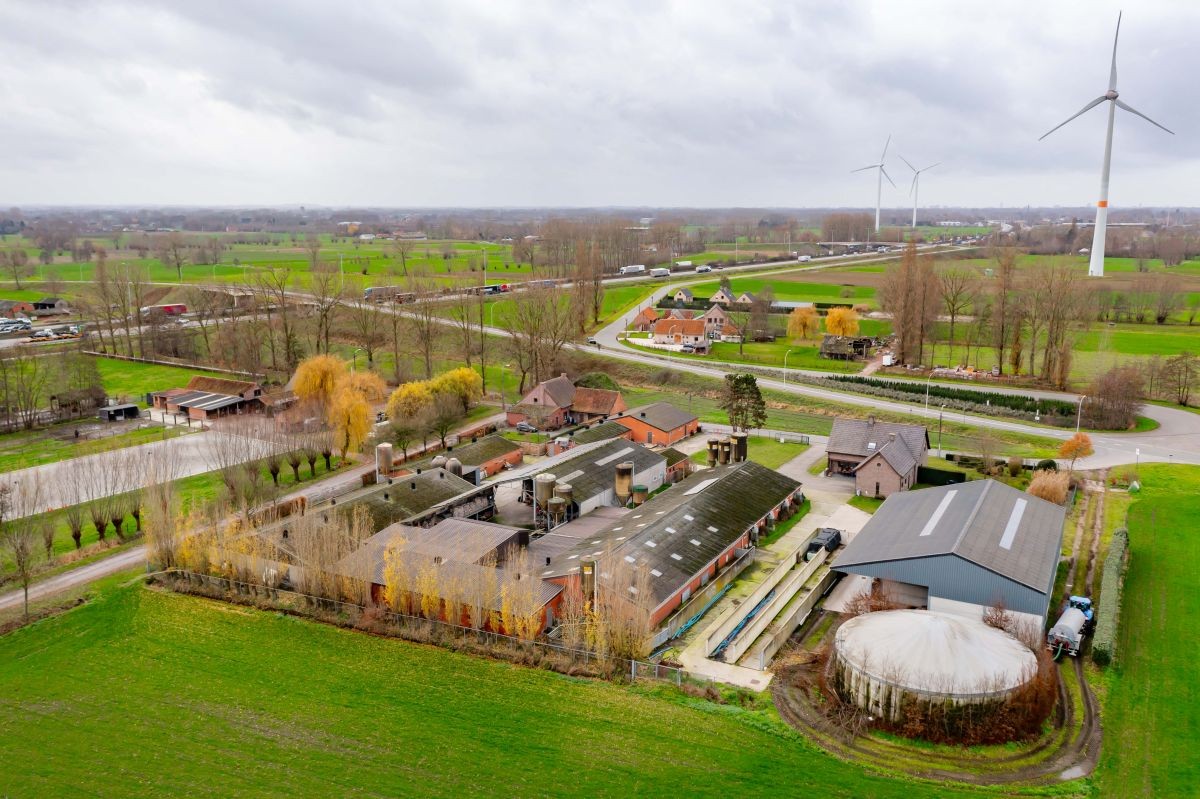 Varkensbedrijf te koop te Lochristi - foto 4