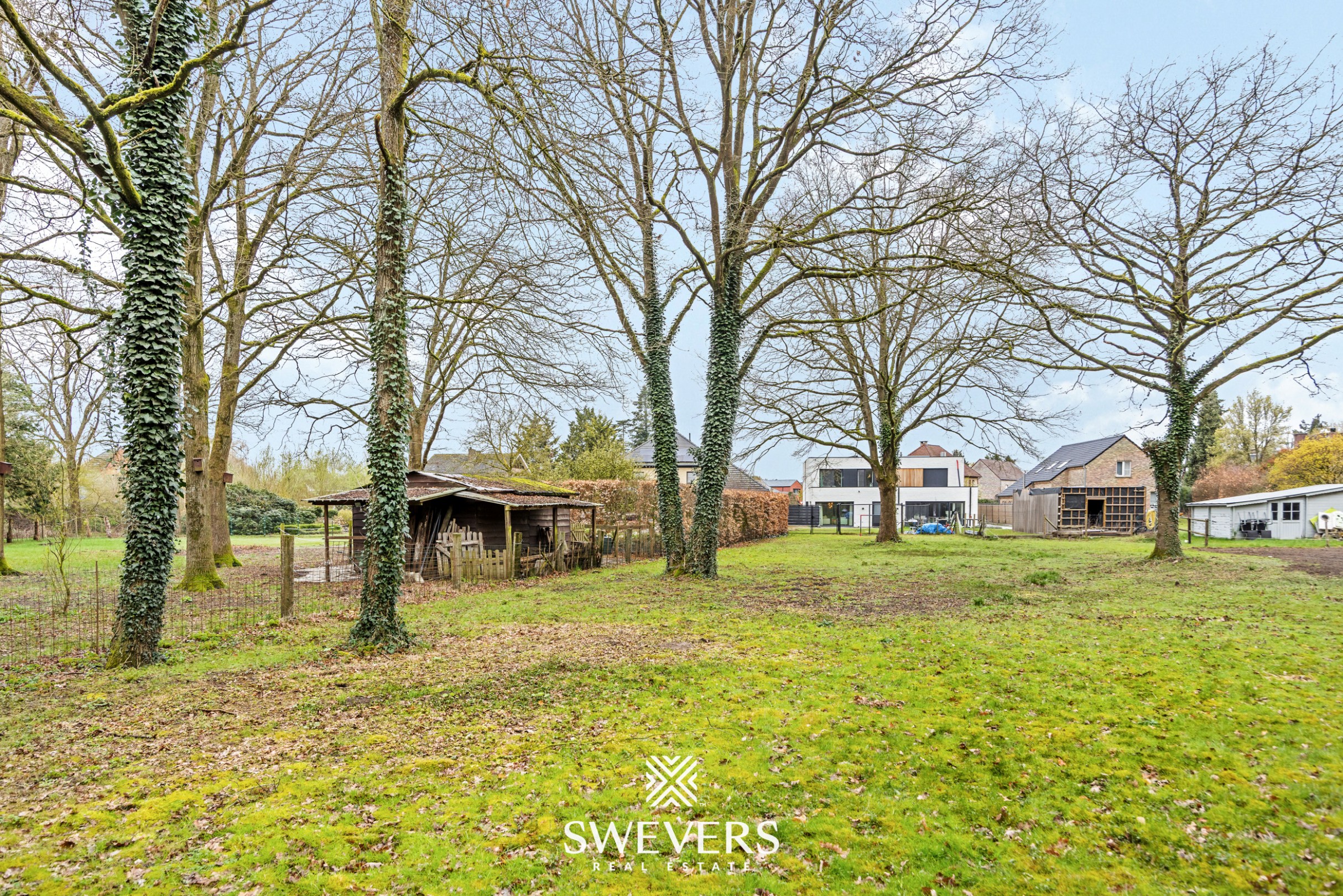 Recente halfopen bebouwing met 5 slaapkamers op 12a66 in Houthalen - foto 2