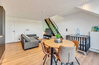 Voor meer info of een bezoek, bel 053 59 49 33 - In het centrum van Geraardsbergen vinden we deze volledig gerenoveerde duplex terug. Deze...