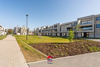 <p><strong><u>Residentie De Admiraliteit:</u></strong> Prachtig nieuwbouwappartement met 1 slaapkamer en terras. </p>
<p>Wonen in een oase van rust en groen én in het centrum van Lommel.</p>
<p>In het kerngebied van Lommel, tussen de Hees, Hezerpad, Nachtegaalstraat en Vreyshorring realiseert Aristas een prachtig woonproject &quot;Residentie De Admiraliteit&quot;.</p>
<p>Dit eigentijds woningbouwproject bestaat uit appartementen en woningen, steeds met ruime terrassen of tuinen en voorzien van ondergrondse parkeerplaatsen en bergingen.</p>
<ul><li>Prachtige locatie: rustig én in het centrum</li><li>Eigentijdse architectuur</li><li>Zonnepanelen &amp; warmtepomp</li><li>BEN-woningen &amp; appartementen</li></ul>
<p>Aankoop onder BTW-stelsel: 12% op de grondwaarde &amp; 21% op het constructie-aandeel.</p>
<p>Meer informatie?</p>
<p>Maak een afspraak via 011 550 440 of info@eratournier.be</p>