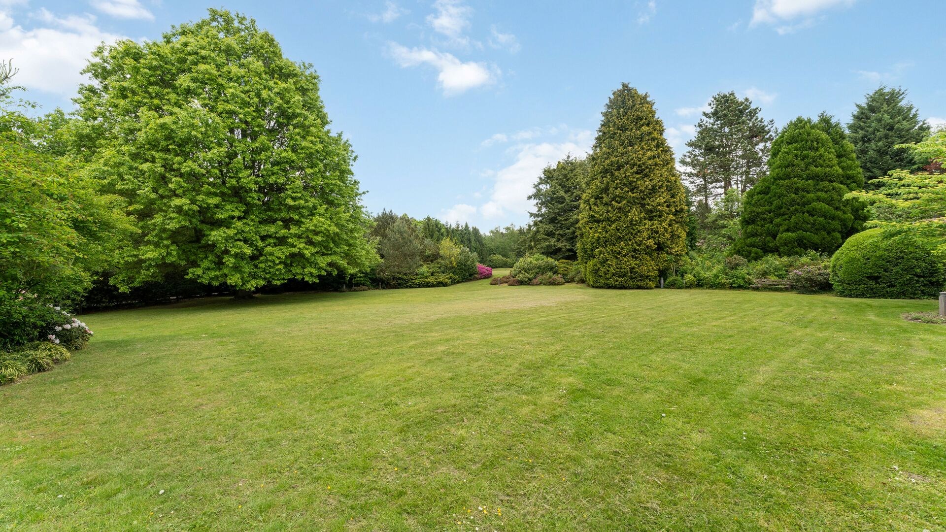 Exclusief landhuis van +- 565 m² op 18.755 m² privédomein te Lanaken/Zutendaal. - foto 3