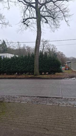 Terrain à vendre à Zoersel