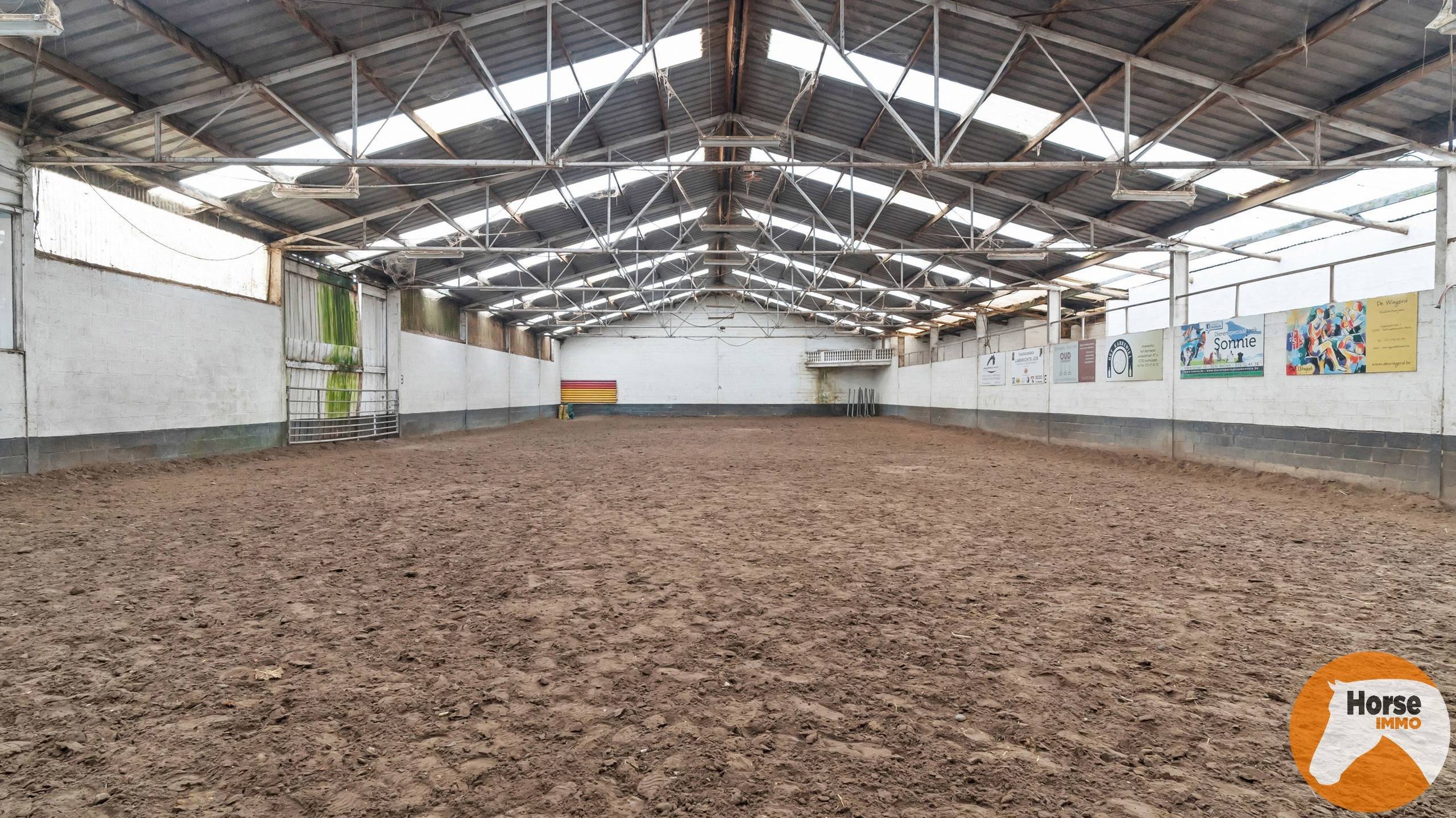 HASSELT (Kortessem) - Manege met veel potentieel! - foto 4